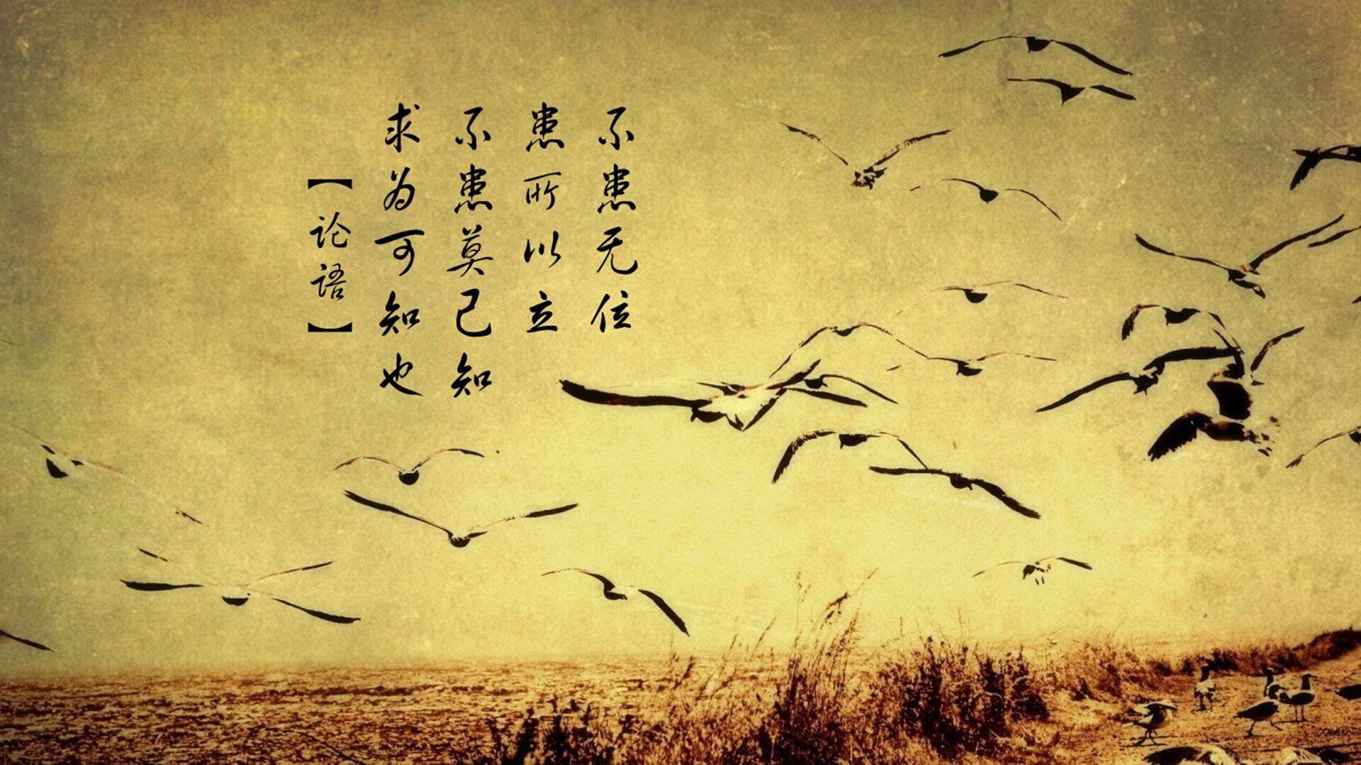 赛季黑马队伍爆发，谁才是真正的“意外之喜”？，黑马联赛第五季