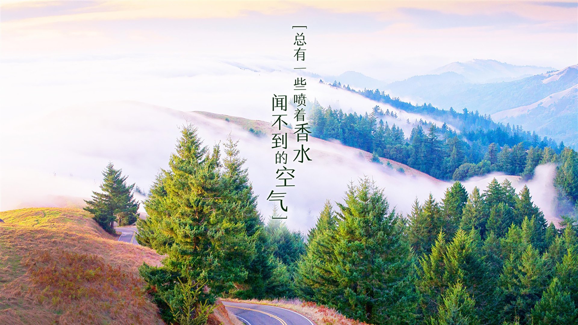 足球赛事门票电子化率超过九成，足球赛举办方决定将1400张门票免费送给你