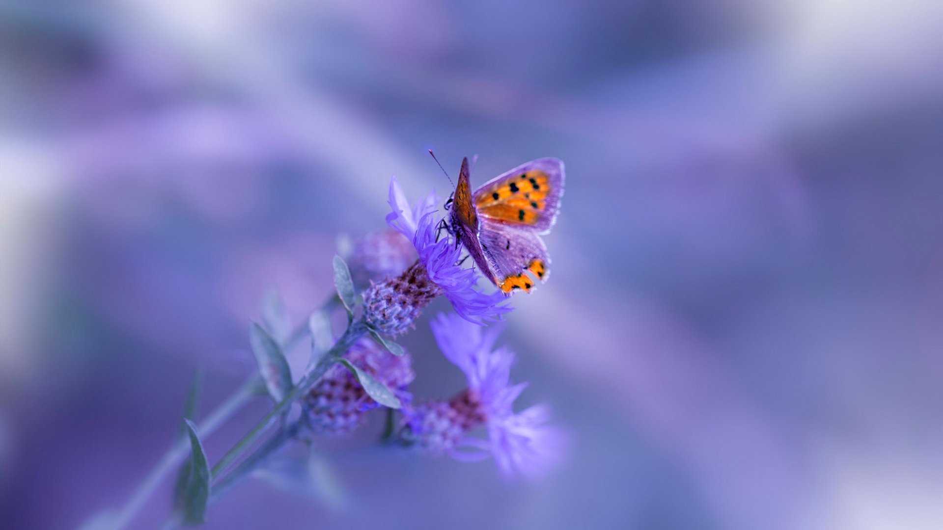 中超防守端关键球员影响力分析，中超控球最好的球队