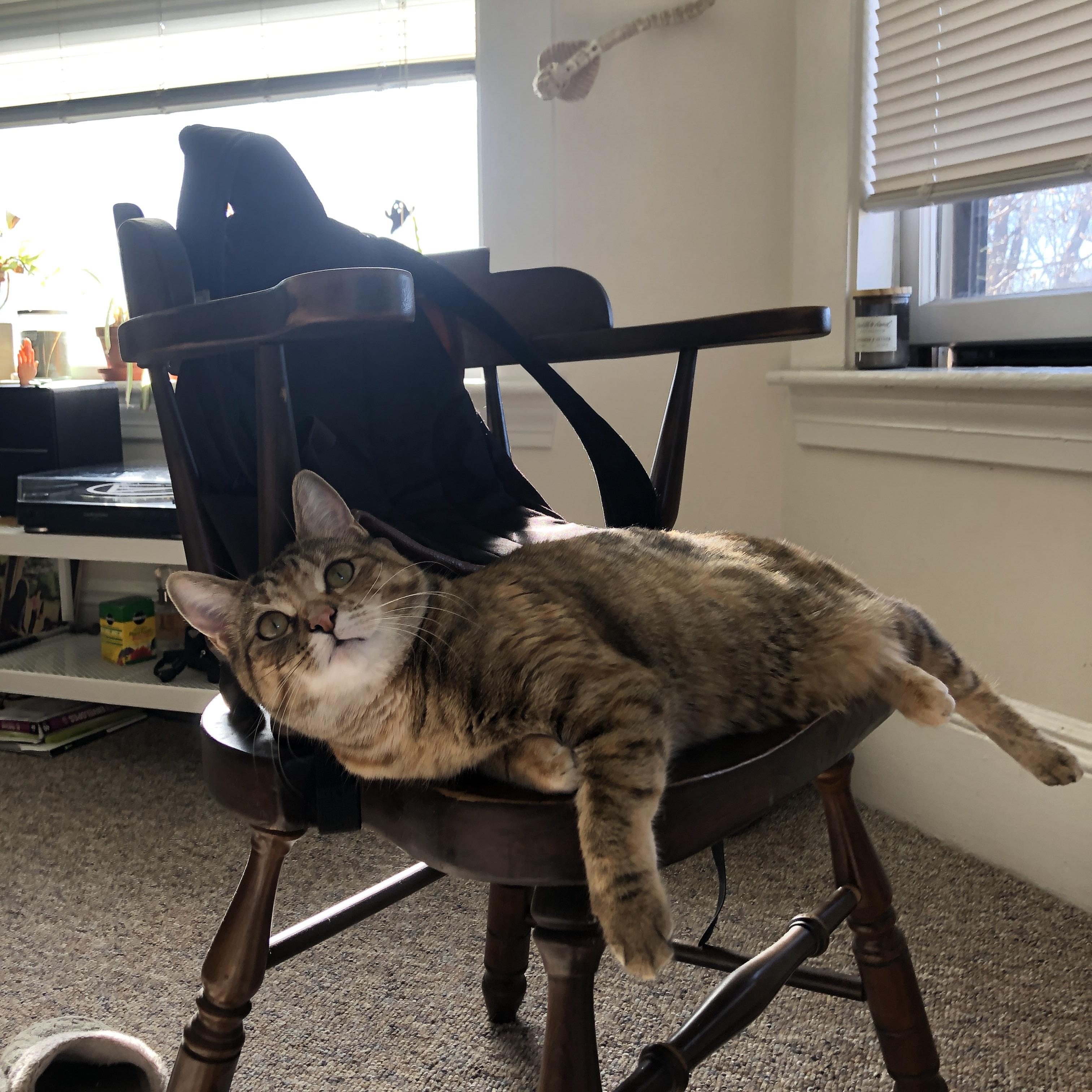 未来裁判：AI裁判的应用前景与挑战，ai裁判最早应用于哪年世界体操