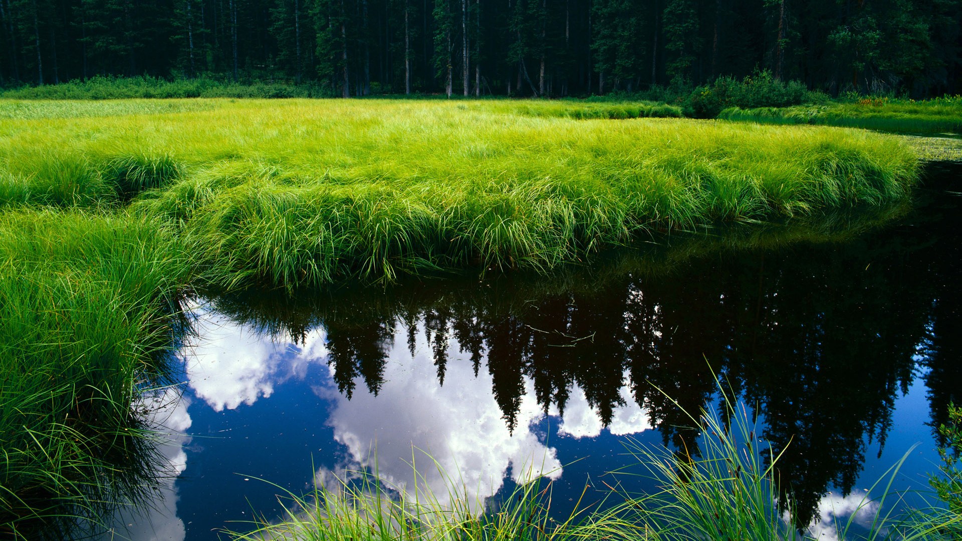 法甲球迷行为识别平台在观众参与度提升方面的成果,球迷网法甲