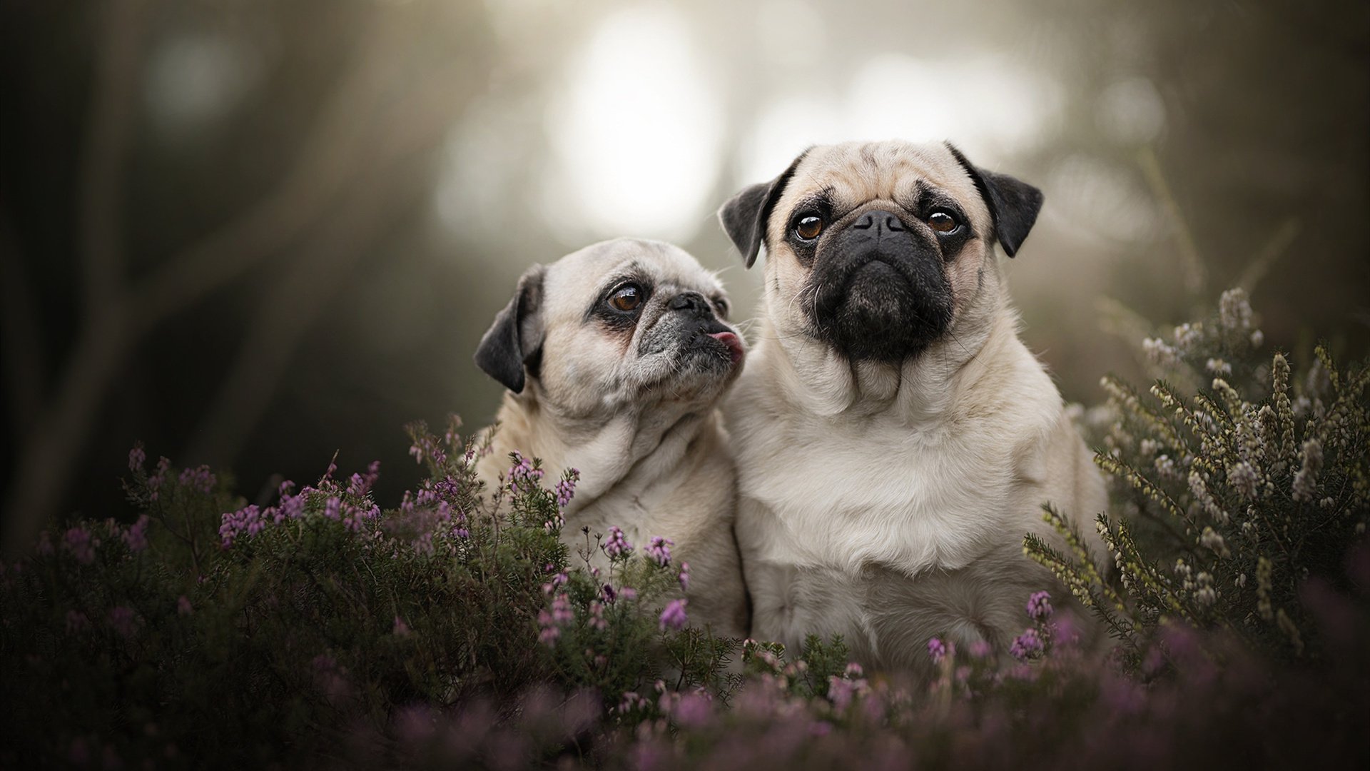 体育新闻中心深化体育赛事数据可视化应用研究,体育赛事新闻报道